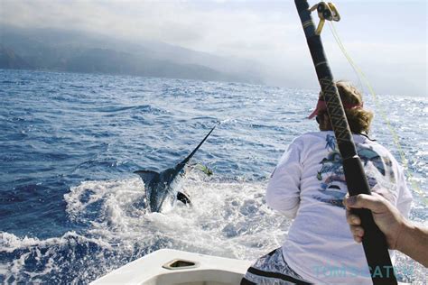 big game fishing europe|Welcome to My Balancal .